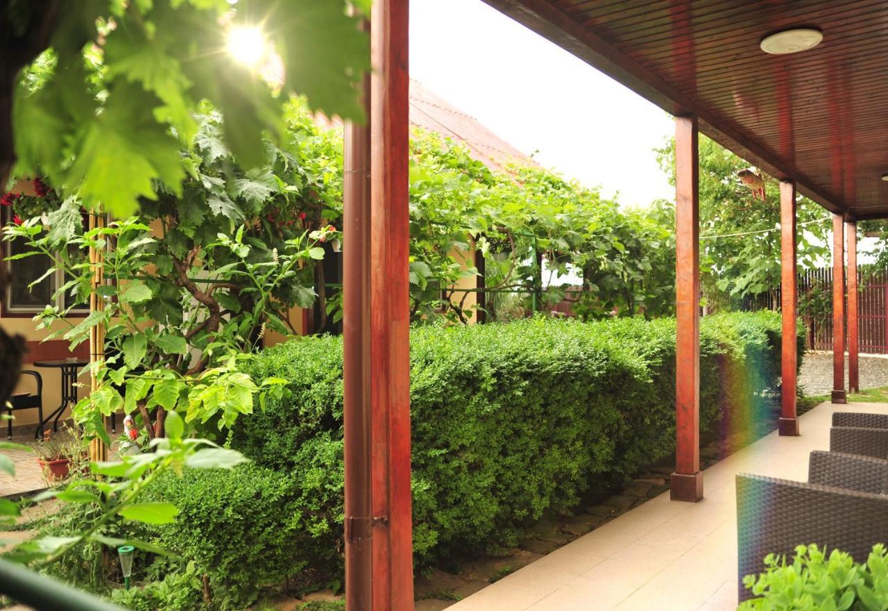 Hotel Casa Boby Murighiol Exterior foto